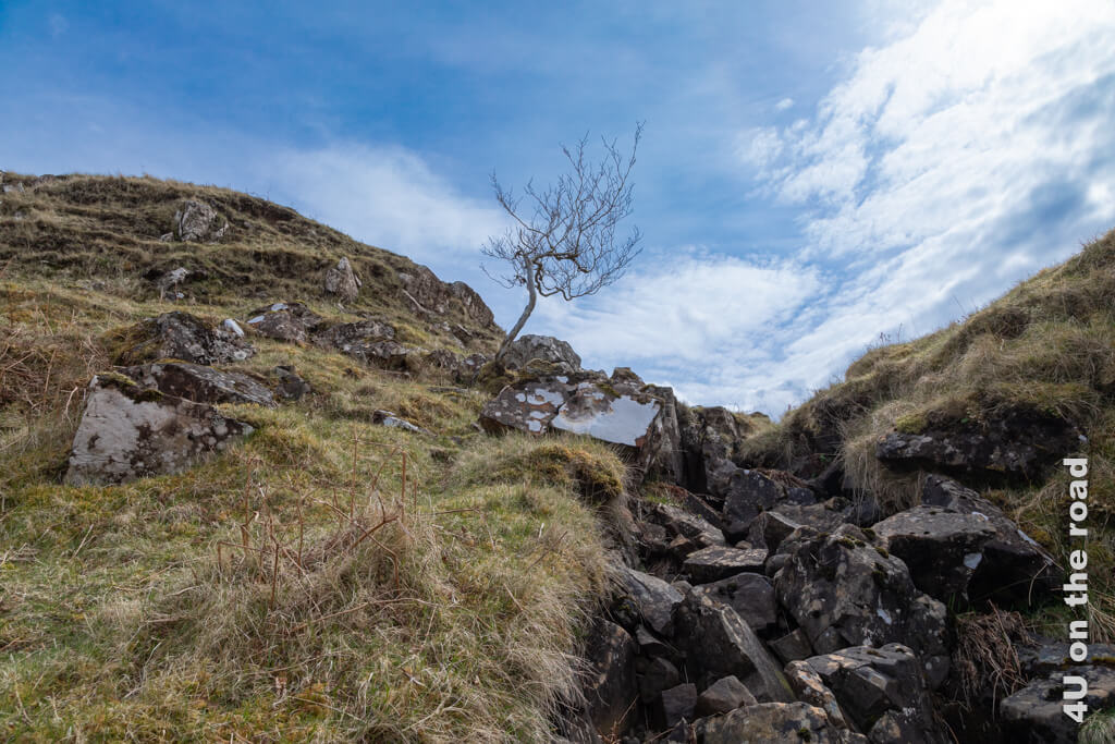 Im Sattel zwischen zwei Hügeln duckt sich ein einsamer Baum. Ein Wasserlauf mit grossen kantigen Felsen sieht trocken aus, aber tief unten gluckert Wasser. Die Felsen sind mit weissen Flechten bewachsen. Die Schönheit dieses Highlights auf der Isle of Skye entdeckt man vor allem, wenn man sich abseits der Massen bewegt.