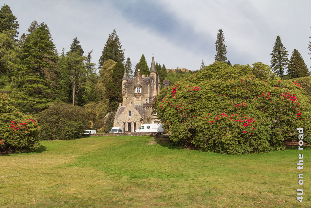 Das Benmore House erinnert mit seinen Türmchen an Schlösschen. Die einfachen Rhododendren auf der Wiese vor dem Haus, erreichen in Schottland Höhen von bis zu 20 m. Die beiden Exemplare im Bild haben schon eine beachtliche Grösse.