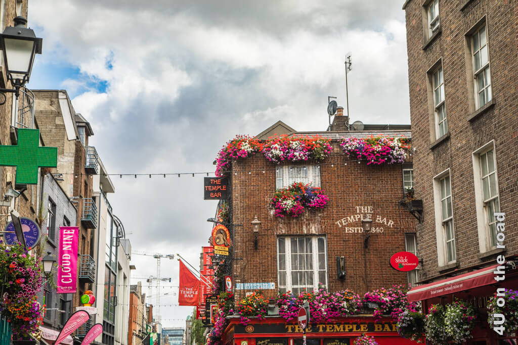 Bis unter das Dach hängen die blühenden Körbe an den Häusern und der original Temple Bar. Sehenswürdigkeit Dublin City