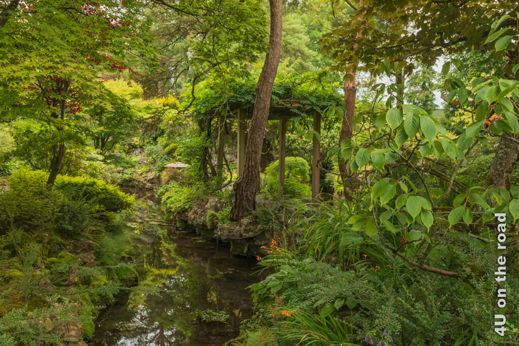 Ein Dschungel aus unterschiedlichen Bäumen, die sich auch noch im Bach spiegeln, wird nur durch das zarte Orange einiger Montbretien und den roten Blättern eines Ahorns durchbrochen. Die Pergola fügt sich nahtlos in das undurchdringliche Grün des japanischen Gartens im irischen Nationalgestüt in den Wicklow Mountains ein. 