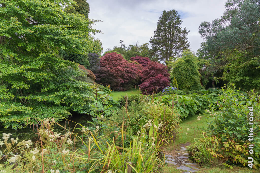 Eine kleine Brücke führt über einen Bach. Weisse Wedel von Astilben leuchten am Ufer. Grüne Blätter in allen Formen, aber gefesselt wird das Auge vom Rot der Ahornbäume auf der Wiese. Der Mount Usher Garden in den Wicklow Mountains gehört zu unseren Highlights.