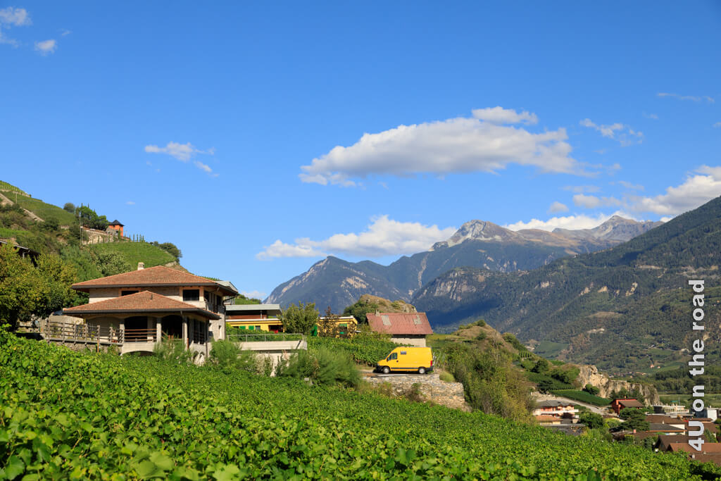 Weinberge in St. Léonard mit Sicht auf blauen Himmel und Berge.