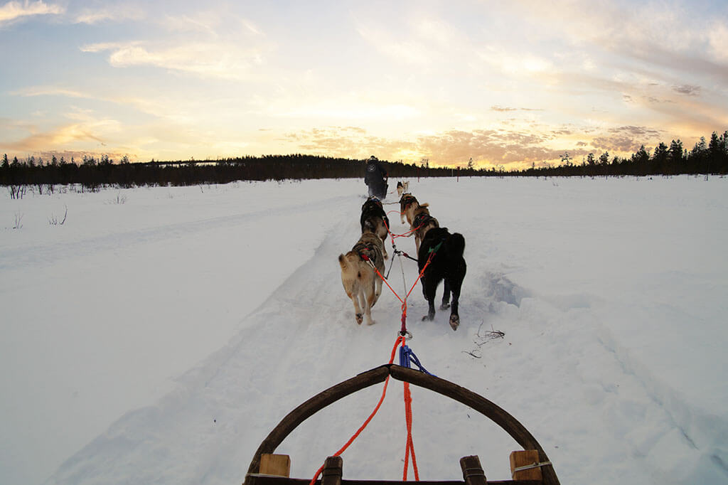 Eine Fahrt im Hundeschlitten durch die verschneite Winterlandschaft von Finnisch Lappland.