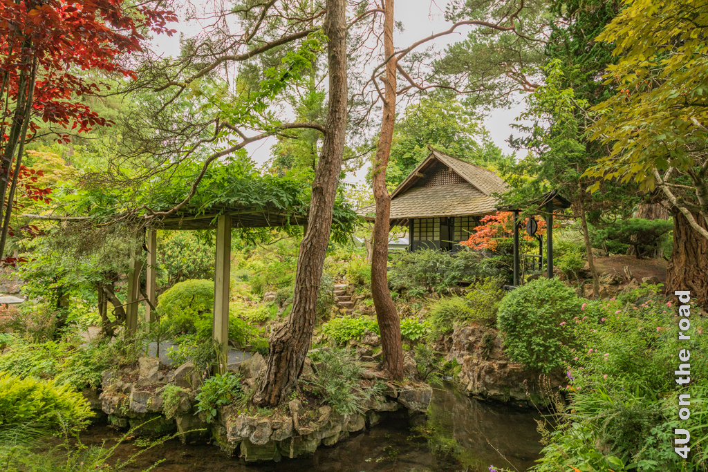 Der japanische Garten im Irish National Stud & Gardens - Tipp im Reiseblogger Adventskalender 2022