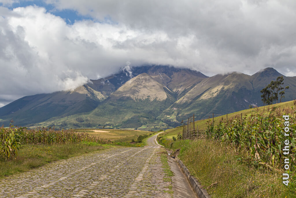 Auf dieser schmalen gepflasterten Strasse geht es immer weiter aufwärts zum Kondor Park, der Sehenswürdigkeit von Otavalo. Vor uns liegt ein hoher Berg, dessen Gipfel in den Wolken verschwindet.