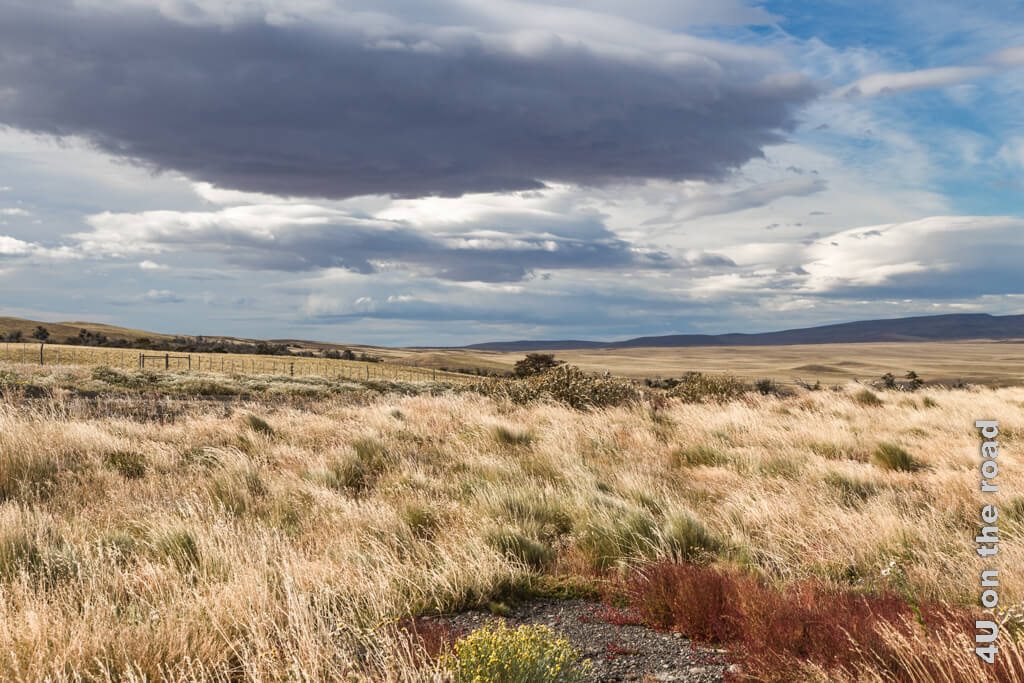 Der Wind fährt durch die trockenen Gräser, am Himmel jagen die Wolken. Diese Fahrt von Puerto Natales nach El Calafate ist eindrücklich.