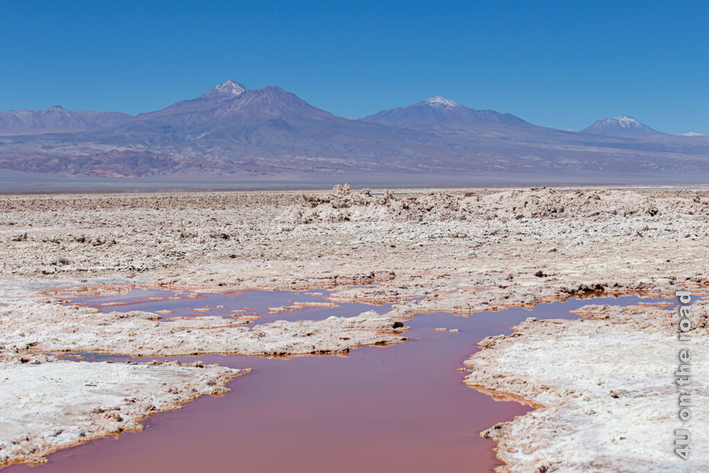 Algen färben das geothermale Wasser der Laguna Chaxa teilweise rötlich. Der Kontrast der Salzkruste und der weissen Spitze der Gipfel zum blauen Himmel ist stark. San Pedro de Atacama