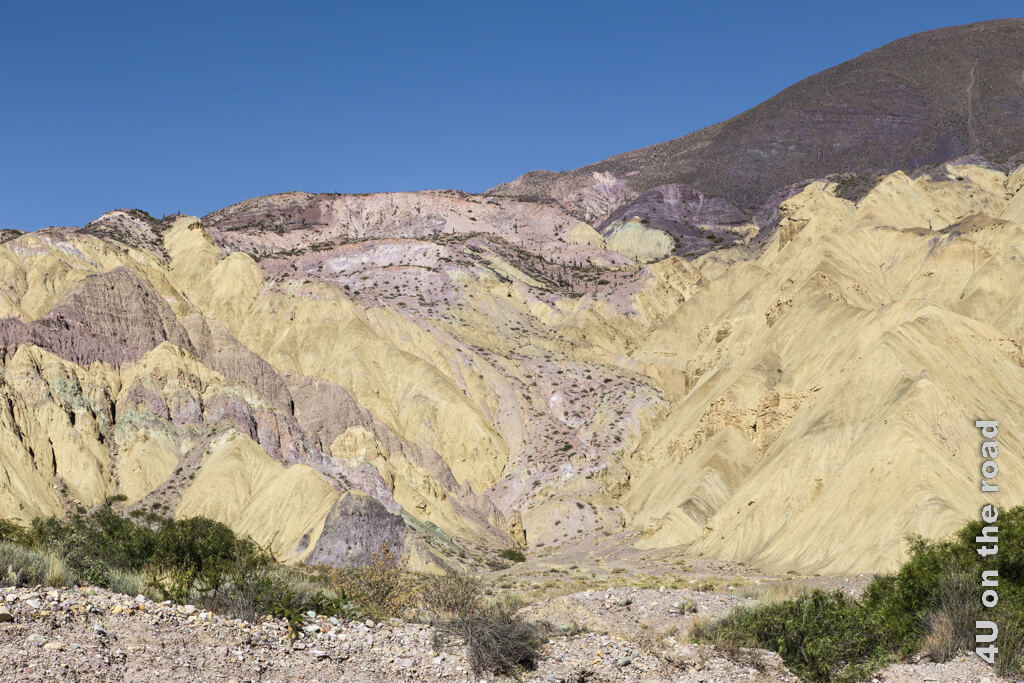 Die ausgewaschenen Felsen sind an dieser Stelle in der Quebrada de Purmamarca gelb und violett, mit ein wenig Kupferoxid.