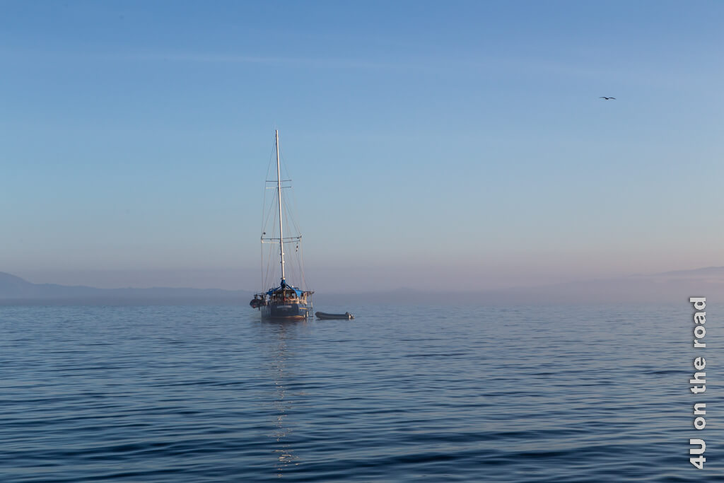 Ein Segelschiff liegt im Dunst des frühen Morgens neben uns im Meer. 