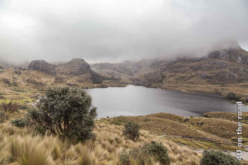 Schottlandfeeling - Wolken, Wind und Regen - wollen wir jetzt wirklich im Cajas Nationalpark wandern?