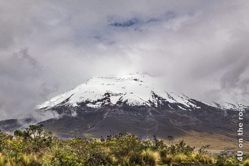 Der Cotopaxi Vulkan im Cotopaxi Nationalpark mit schneebedecktem Gipfel und mal ganz kurz wolkenfrei.