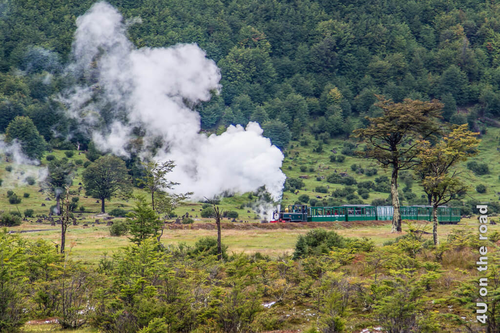 Der Zug El Tren del Fin del Mundo auf Feuerland macht mächtig viel Dampf. Wir sehen ihn im Tierra del Fuego Nationalpark