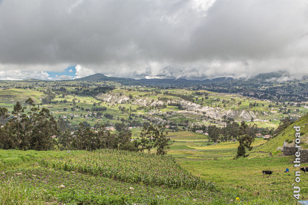 Auf dem Weg zum Vulkan Chimborazo werfen wir noch einen letzten Blick in das liebliche Andenhochland mit seinen grünen Hügeln.