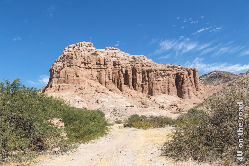 Jetzt führt unser Weg durch die Valles Calchaquies vorbei an mächtigen Felsformationen aus rotem Sandstein, die stark verwittert sind. Das Highlight, die Quebrada de las Flechas kommt aber erst noch.