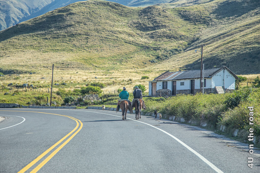 Auch zwei ältere Herren reiten auf ihren Pferden begleitet von 3 Hunden in Richtung Abra del Infiernillo.