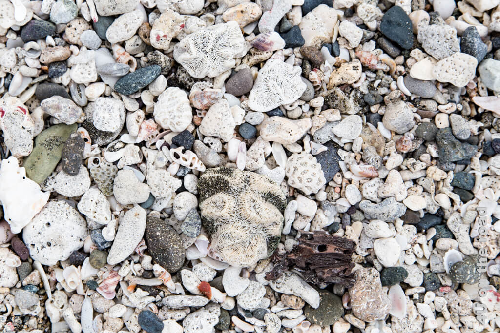 Sammeln von Korallenstücken und Muscheln ist im Cahuita Nationalpark natürlich verboten, aber diesen Strand voller Fundstücke zu fotografieren ist erlaubt. - Costa Rica - Puerto Viejo