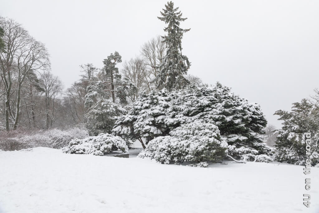 Blick auf den verschneiten Sibelius Park