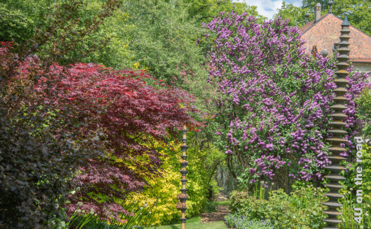 Frühling am Genfersee, das Titelbild zu diesem Beitrag zeigt den Secret Garden von Chateau de Vullierens mit blühenden Fliederbüschen und Büschen in zahlreichen Rot- und Gelb-Schattierungen.