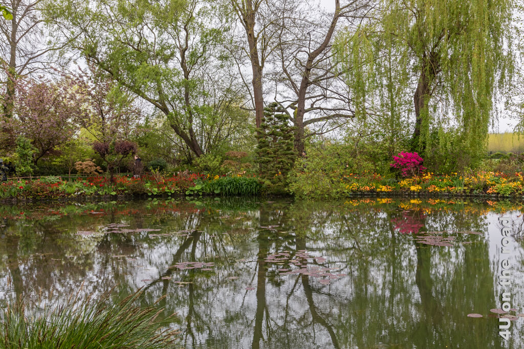 In der Mitte des Bildes stehen die Stämme von drei hohen Bäumen nebeneinander, davor ein japanisch gestutzter Nadelbaum, die sich im Wasser des Teiches spiegeln. Am Uferrand von Monet's Wassergarten blühen leuchtende Azaleen und andere Blumen.