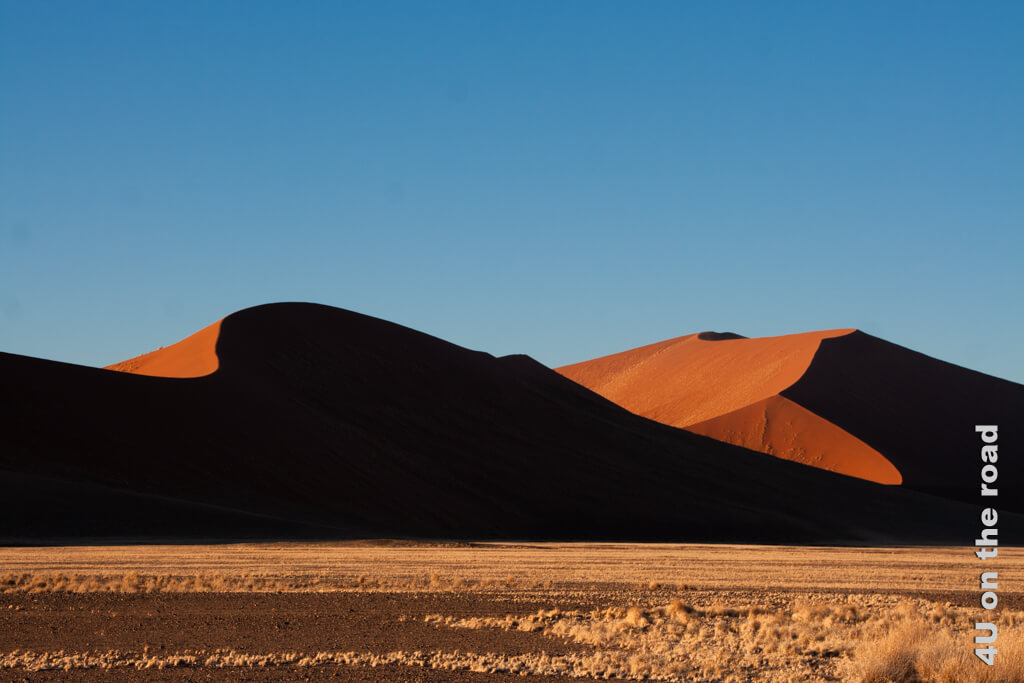 Augenblick der Ewigkeit - Fotoausstellung Schönheit in der Vergänglichkeit - Namib
