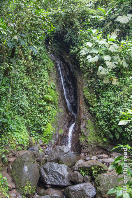 Kleiner Wasserfall im Mistico Park