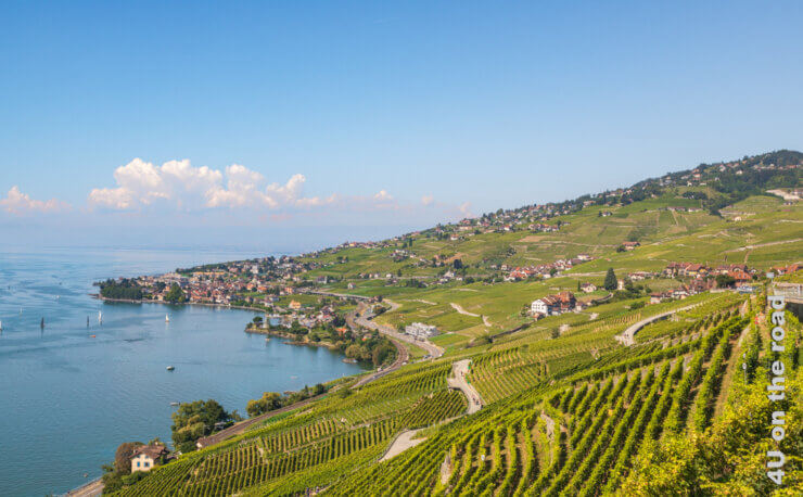 Feature Bild Ausflugsziele Genfersee zeigt die Weinterrassen von Lavaux
