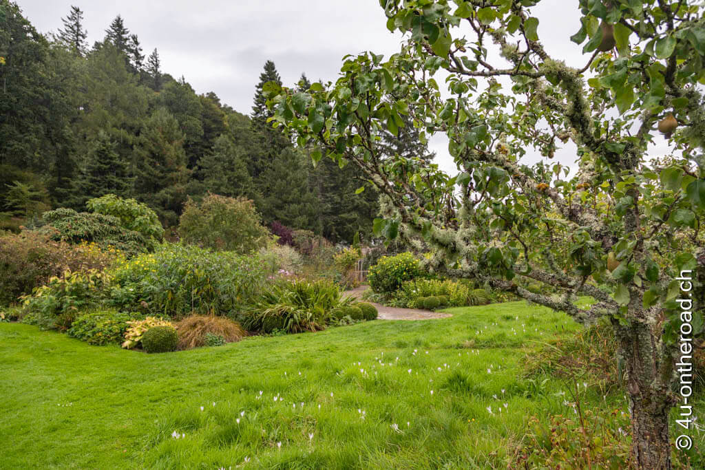 Obstbäume und Ziergarten gehen im Logie House Garten ineinander über - Roadtrip durch Schottland
