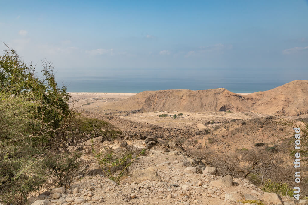 Ein paar grüne Büsche zeigen, dass es in dieser Felswüste tatsächlich Leben und Wasser gibt. Das Meer und der Himmel verschmelzen. Die Aussicht vom Wadi Sha'boon ist schön. - Abstecher auf dem Weg zum Jebel Samhan und Tawi Atair Sinkhole.