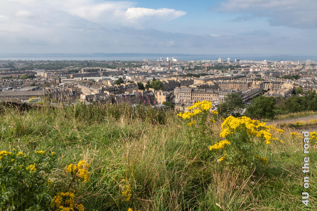Blick auf den Hafen von Leith vom Calton Hill im Sommer. Im Vordergrund sieht man Blumen und Teile der New Town von Edinburgh