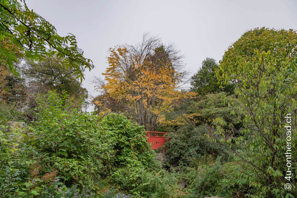 Im chinesischen Garten werden Hochlandpflanzen gezeigt. Orangerote Brücken führen auf den Hügel. Mit dem Wohnmobil durch Schottland.