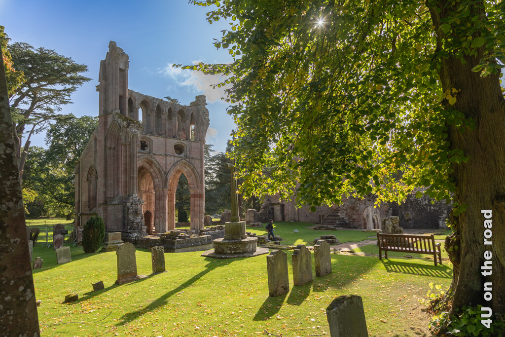 Das Herbstlicht leuchtet durch die Bäume und lässt auch das nördliche Querschiff und den Friedhof von Dryburgh Abbey erstrahlen. - Edinburgh Ausflüge