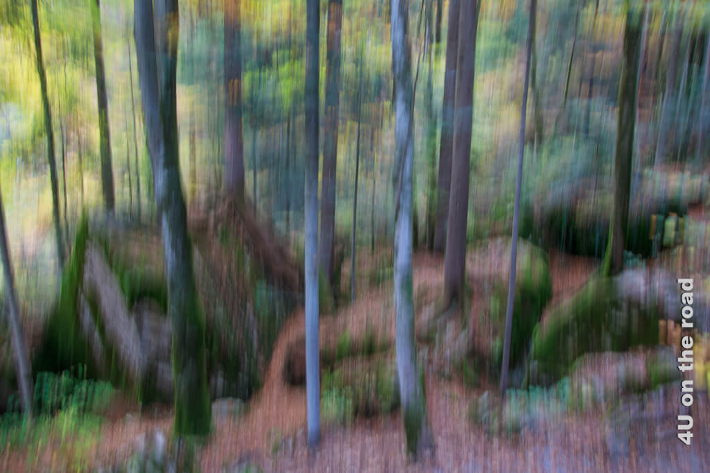 Ein Mischwald mit Felsbrocken wird durch eine ICM Aufnahme im Herbst zur Kulisse für ein Märchen.