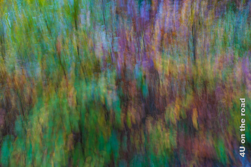 Laubfärbung abstrakt durch ICM - Herbstfotos Ideen