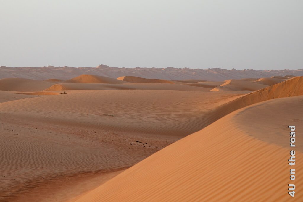 Mitten im Nirgendwo der Wahiba Sands im Oman. 