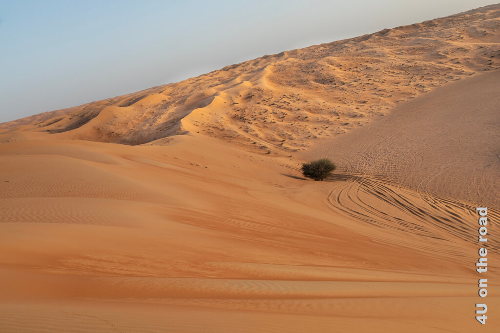 Die Spuren im Sand der Wahiba zeugen vom Fahrspass der Beduinen.