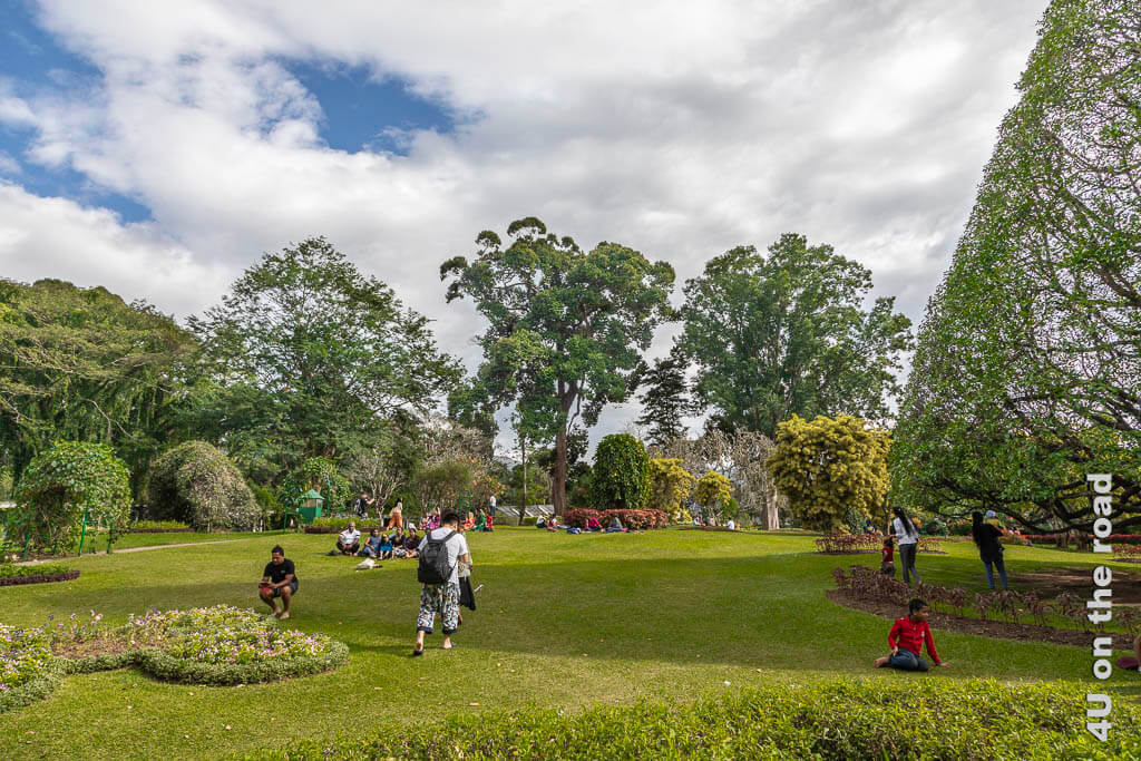 Auf den grossen Wiesen mit ihren Blumeninseln und Baumgruppen geniessen viele Menschen den freien Tag im Botanischen Garten Paradeniya bei Kandy.