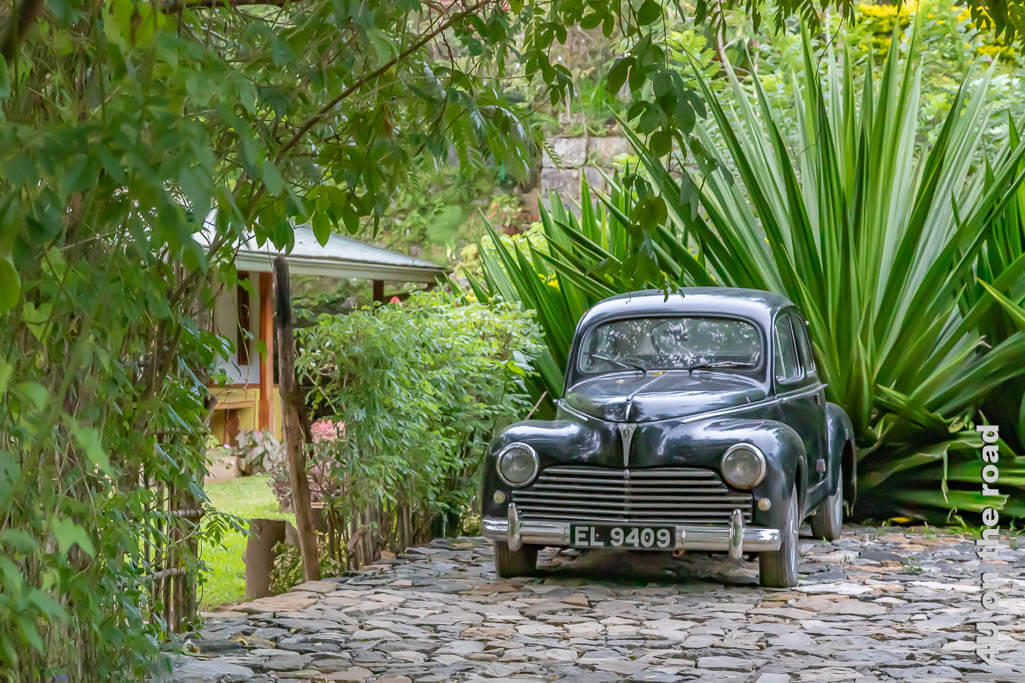 Ein schönes altes Auto parkt auf der Teeplantage von Amba Estate bei Ella vor dem Verwaltungshaus.