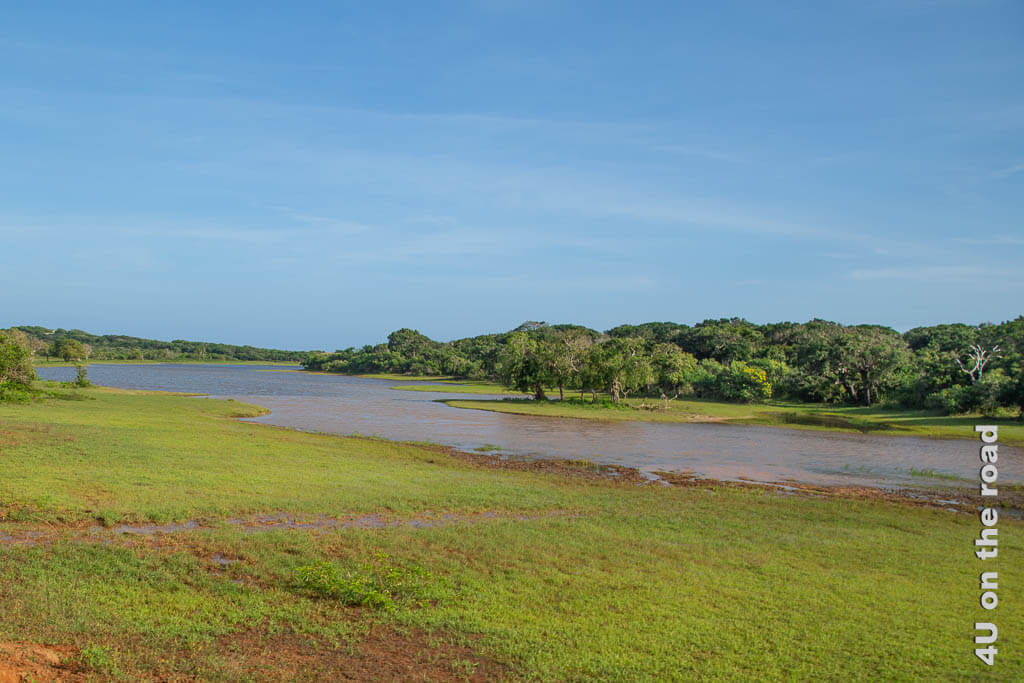 Eine grüne Auenlandschaft im Yala Nationalpark