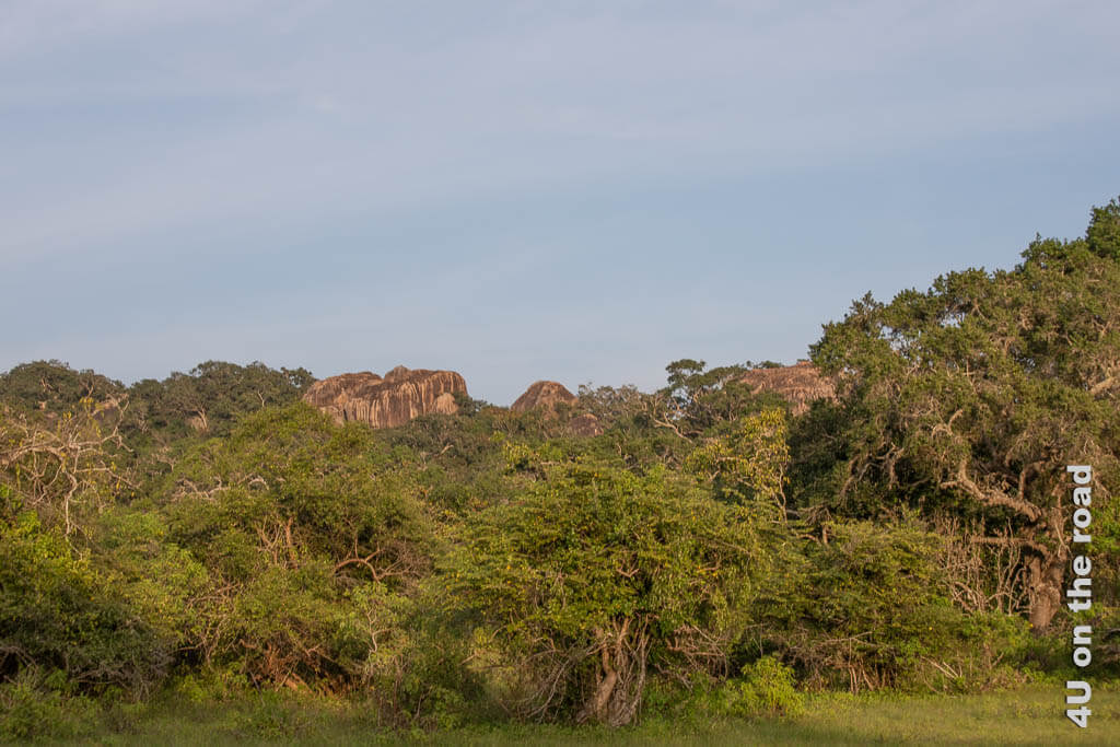 Felsen und Dschungel im Licht der untergehenden Sonne im Yala Nationalpark, Sri Lanka